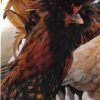Golden Laced Polish Chicken