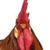 Brown Leghorn Chicken